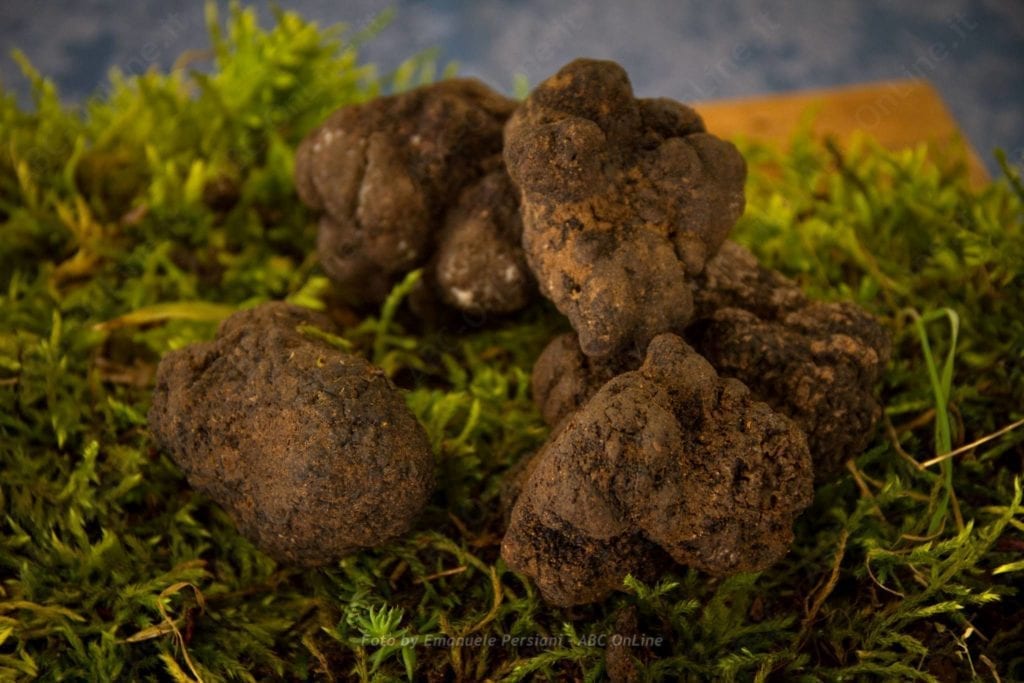 tartufo_nero_di_norcia_da_raw-1024x683-2-1.jpg